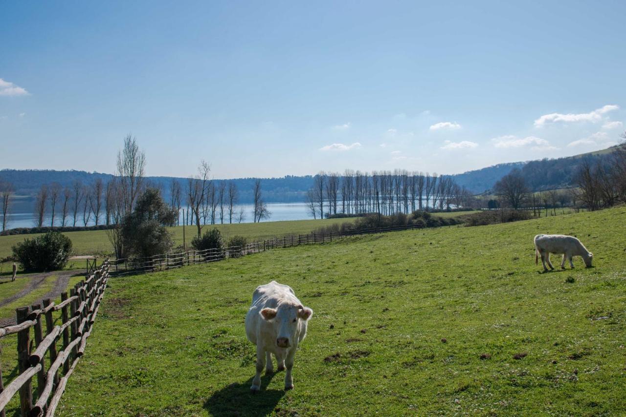 Villa Il Castoro Di Martignano à Anguillara Sabazia Extérieur photo