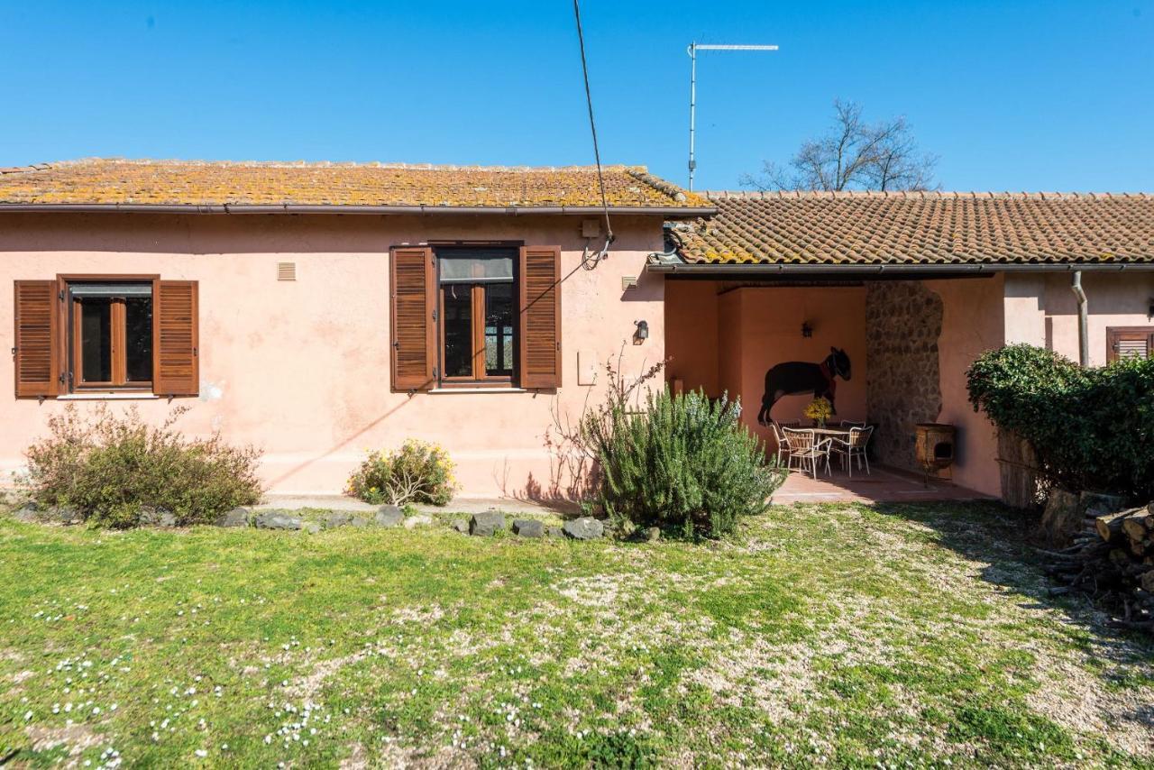 Villa Il Castoro Di Martignano à Anguillara Sabazia Extérieur photo